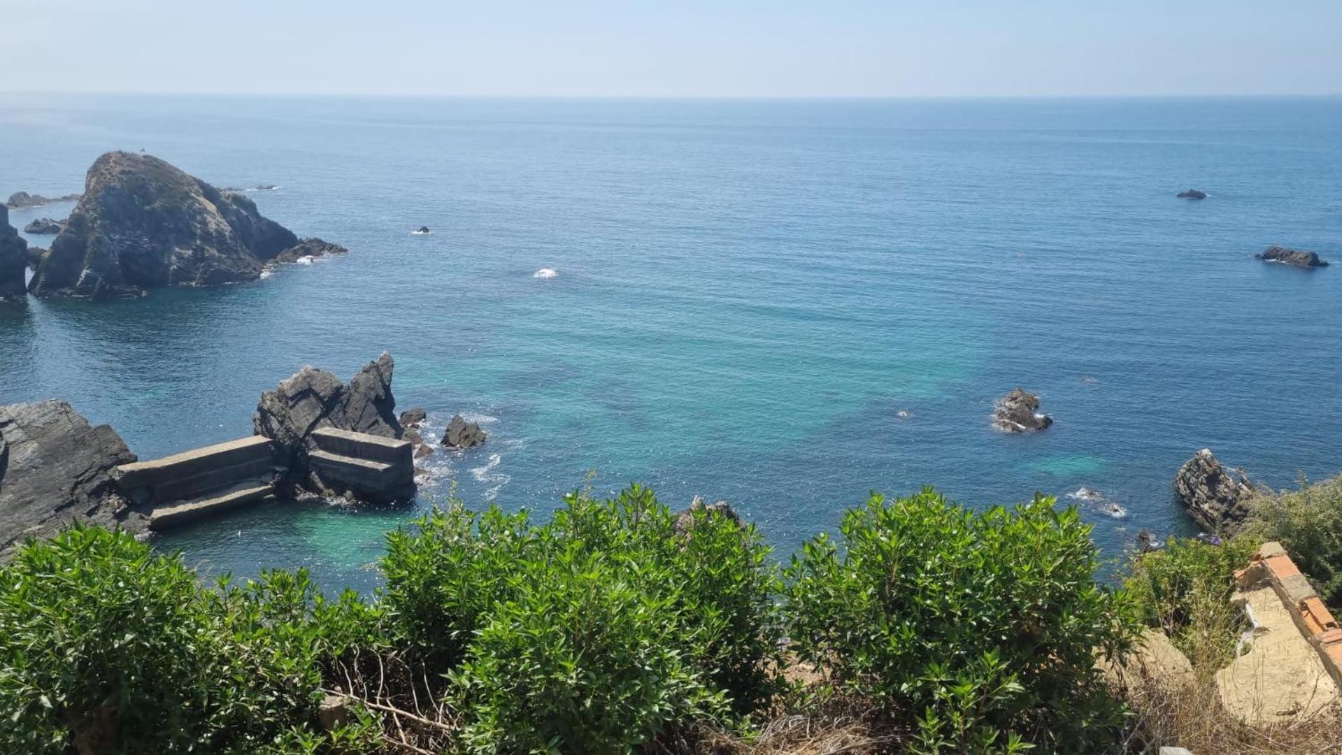 Choeiro Verde - Casa De Campo Na Costa Vicentina Brejao Екстер'єр фото