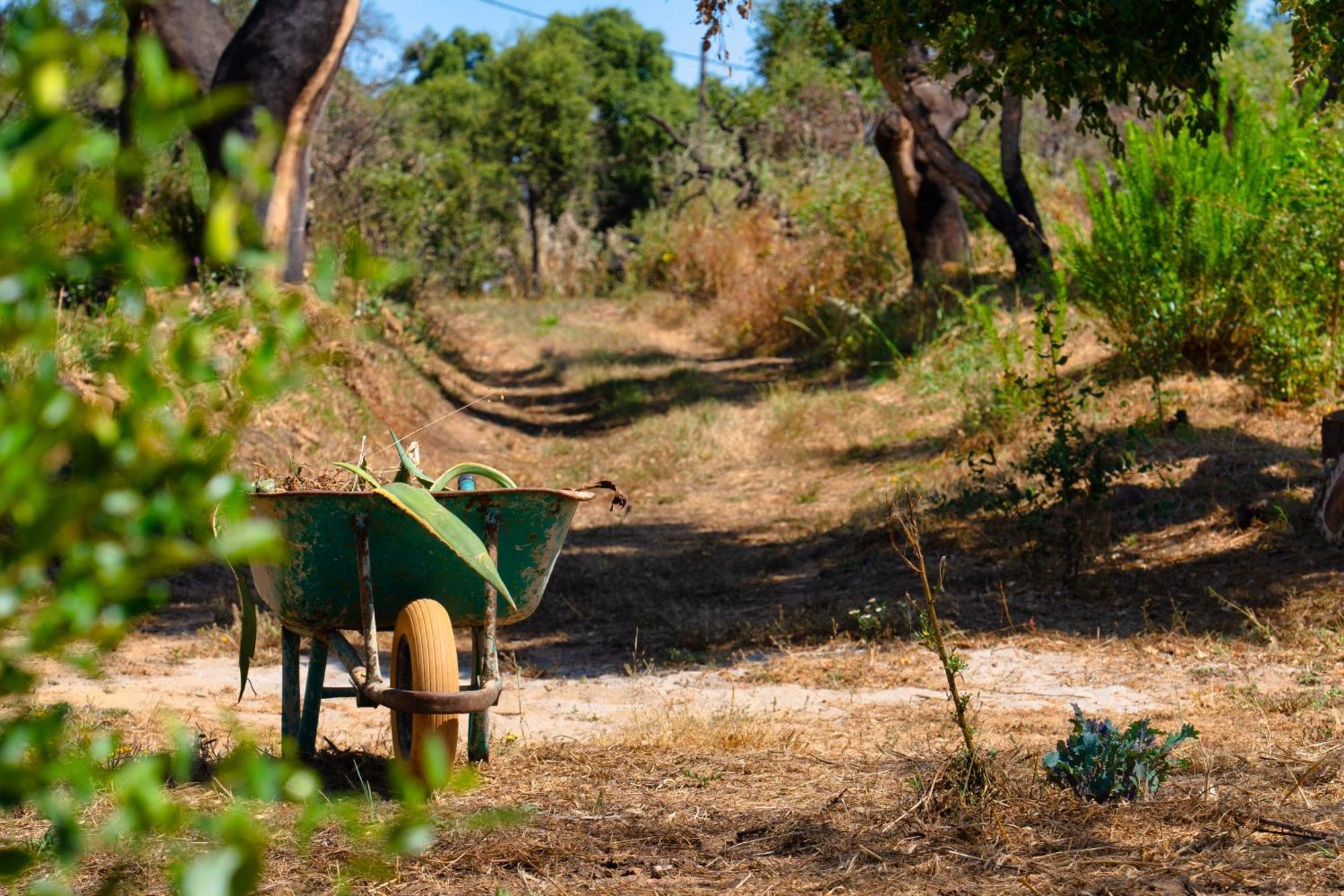 Choeiro Verde - Casa De Campo Na Costa Vicentina Brejao Екстер'єр фото