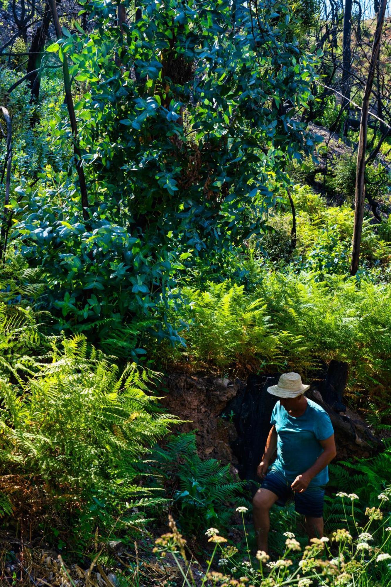 Choeiro Verde - Casa De Campo Na Costa Vicentina Brejao Екстер'єр фото