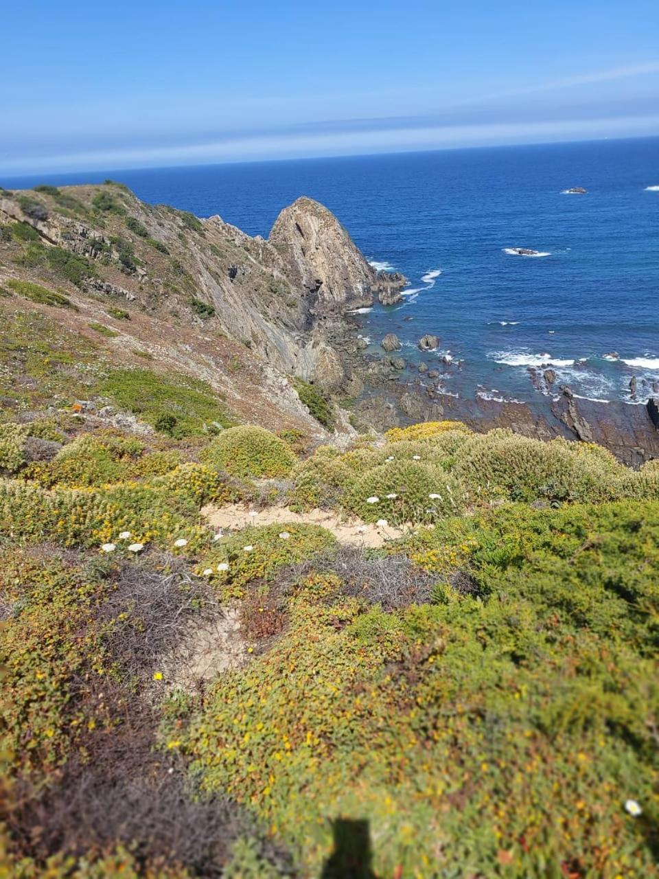 Choeiro Verde - Casa De Campo Na Costa Vicentina Brejao Екстер'єр фото